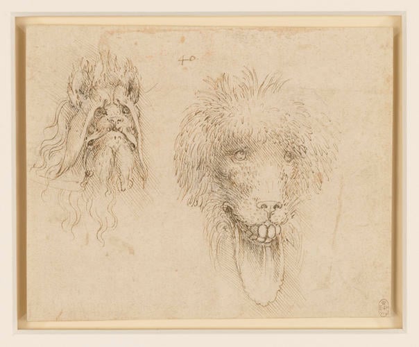 Two heads of grotesque animals Two heads of grotesque animals