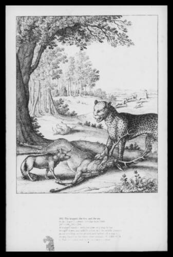 The leopard, the fox and the ass The leopard, the fox and the ass