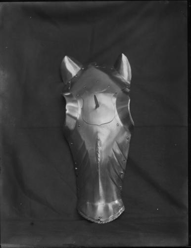 Glass plate negative of objects from the North Corridor