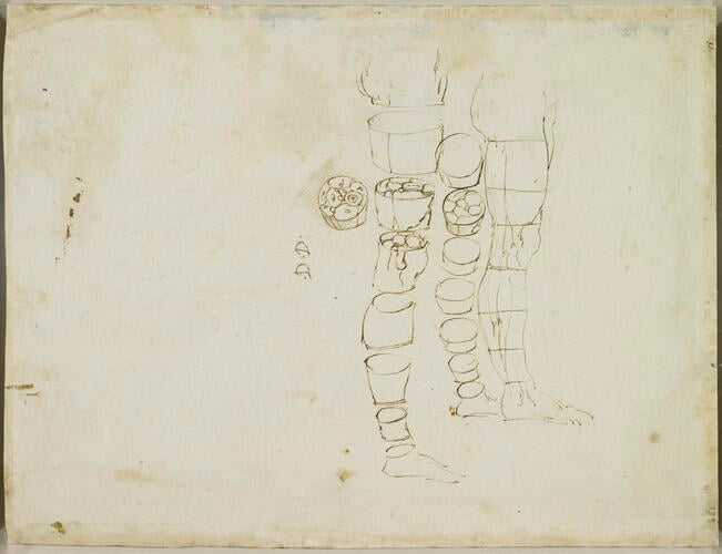 Recto: Miscellaneous anatomical studies. Verso: The leg sectioned Recto: Miscellaneous anatomical studies. Verso: The leg sectioned