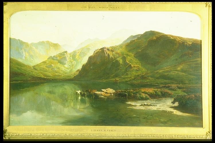 A view of Llyn Dulyn