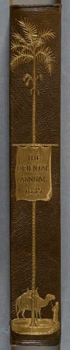 The Oriental annual ; or scenes in India / by the Rev. Hobart Caunter ; [illustrated by] William Daniell