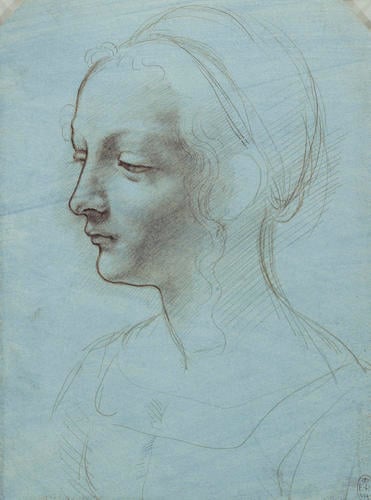 The head and shoulders of a woman, almost in profile
