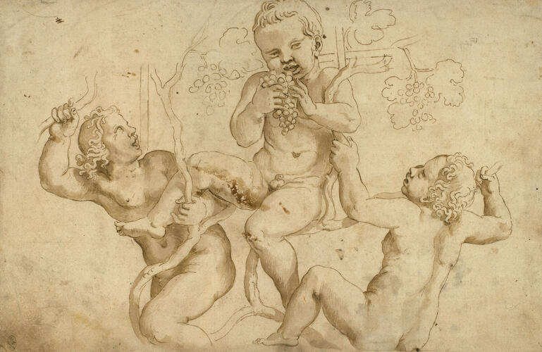 Three putti among vines Three putti among vines