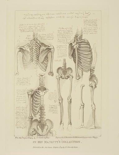 Original designs of the most celebrated masters of the Bolognese, Roman, Florentine and Venetian Schools. . . . in his Majesty's Collection