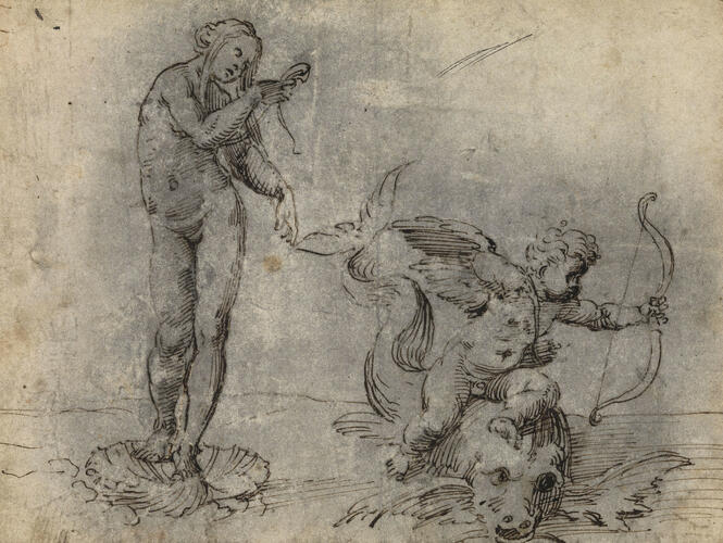 The Birth of Venus and Cupid riding a dolphin