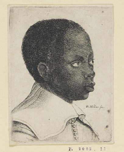 Head of a young Black boy Head of a young Black boy