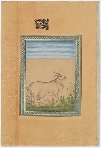 Master: Mughal album of portraits, animals and birds.
Item: Painting of a cow and calf and portrait of Prince Shahriyar Master: Mughal album of portraits, animals and birds.
Item: Painting of a cow and calf and portrait of Prince Shahriyar