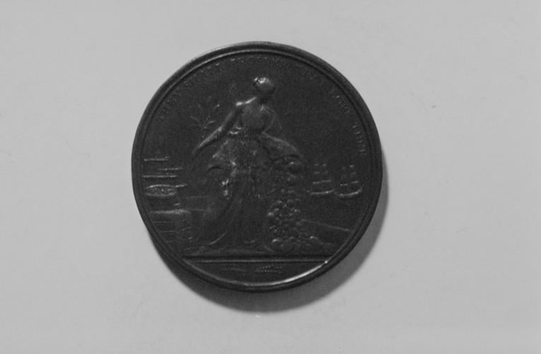 Medal commemorating the signing of the Preliminaries for the Peace of Amiens, signed 1801 Medal commemorating the signing of the Preliminaries for the Peace of Amiens, signed 1801