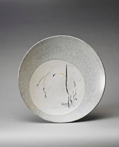 Dish