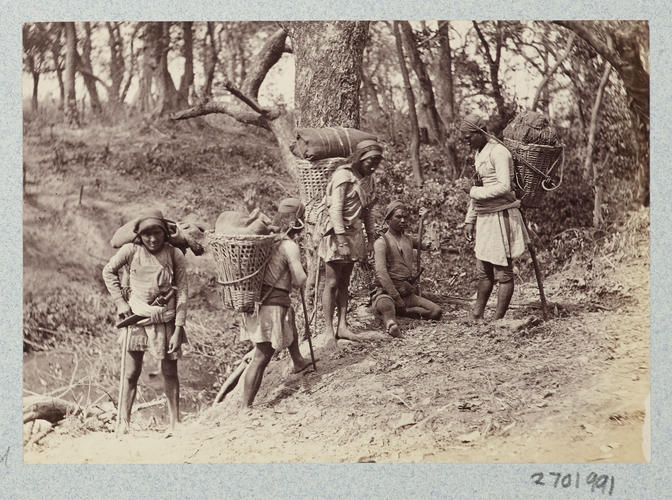 Nepali Labourers Nepali Labourers