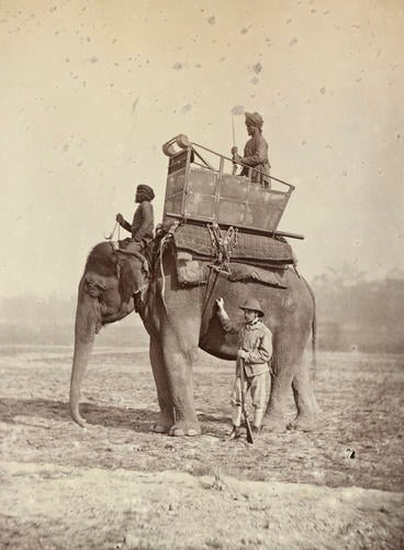 Colonel Sir Augustus Fitzgeorge with an Elephant