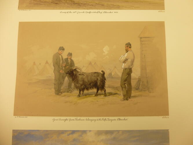 The Black Ram, belonging to the Rifle Brigade, at Aldershot