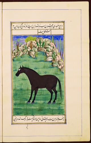 Farasnamah فرسنامه (A Treatise on Horses) and Dawlatnamah دولتنامه (A Treatise on Falcons)