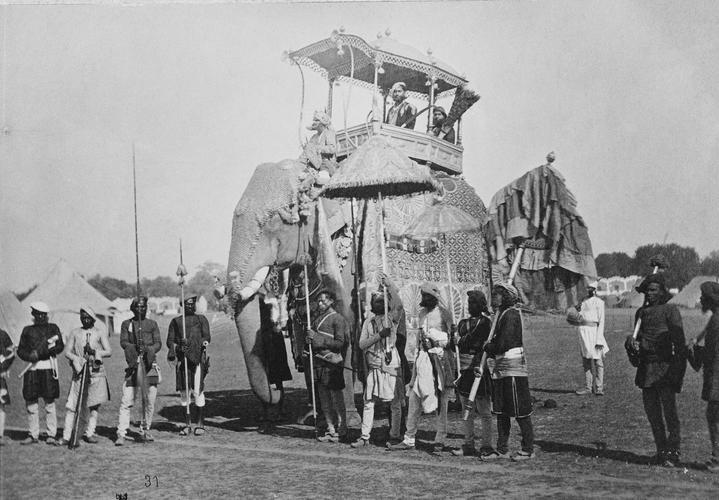 Sir Pratap Singh, Maharajah of Orchha (1854-1930) on State Elephant: Prince of Wales Tour of India 1875-6 (vol. 6)