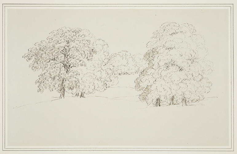 Study of trees Study of trees