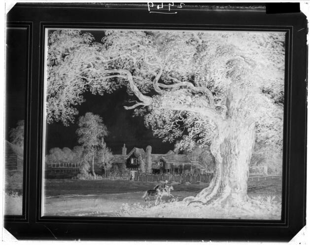 Glass plate negative of a picture