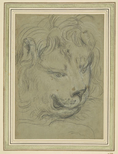 The head of a lion The head of a lion