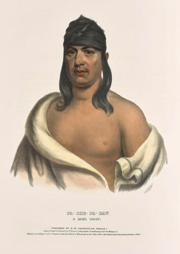 History of the Indian tribes of North America : with biographical sketches and anecdotes of the principal chiefs. Embellished with one hundred and twenty portraits from the Indian Gallery in the Department of War, at Washington ; v. 1 / by Thomas L. M'Kenney. . . and James Hall