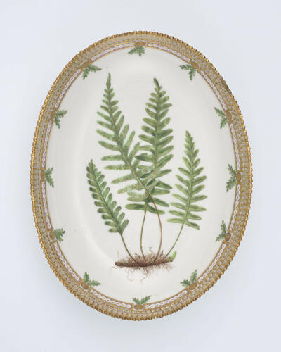 Master: Set of salad bowls
Item: Polypodium vulgare