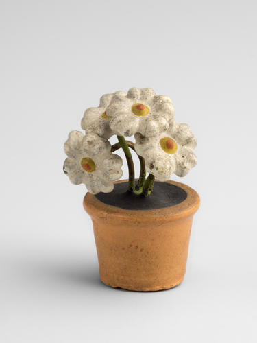 Flower in pot