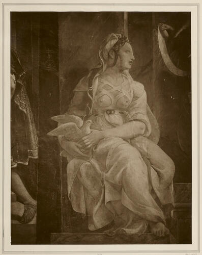 Allegorical figure of Purity [from the Sala di Costantino]