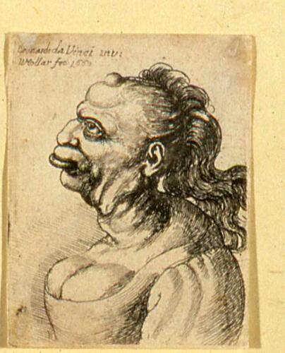 Head of a woman