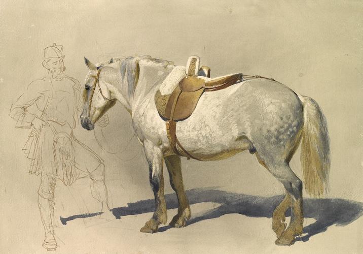 The Queen's pony, Craig Liath