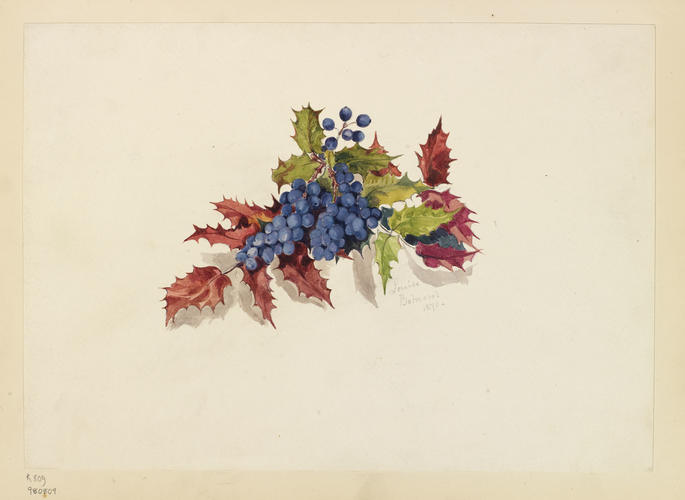 Blue berries and holly