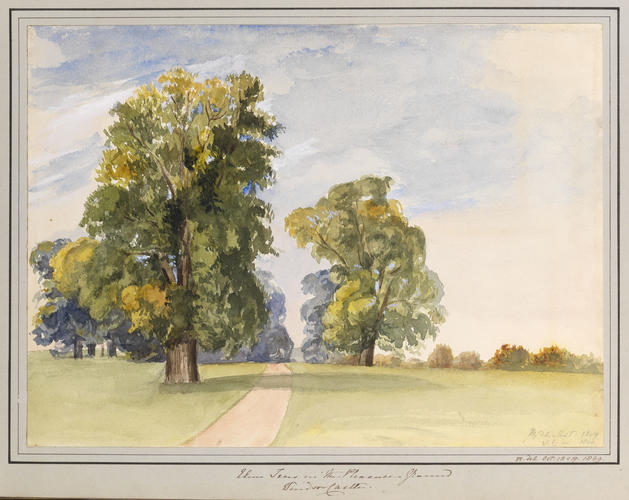 Master: Queen Victoria's Sketchbook 1848-1854
Item: Elm Trees in the Pleasure Ground, Windsor Castle