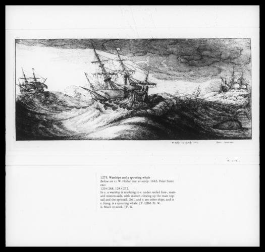 Warships and a spouting whale