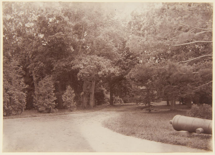 View in Alexandria Park, Peterhof. [Peterhof, 1893. ]