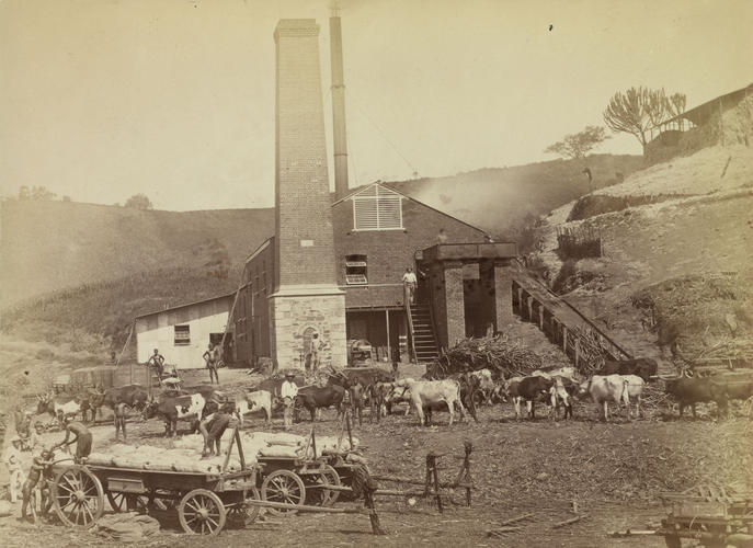 Ashby's Mill near Durban