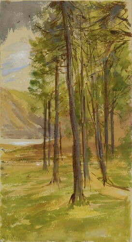 Balmoral Estate: sketch of trees with a loch beyond