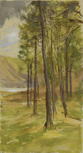 Balmoral Estate: sketch of trees with a loch beyond Balmoral Estate: sketch of trees with a loch beyond