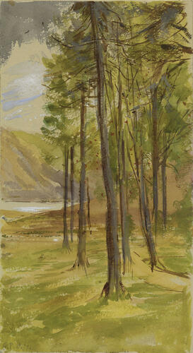 Balmoral Estate: sketch of trees with a loch beyond