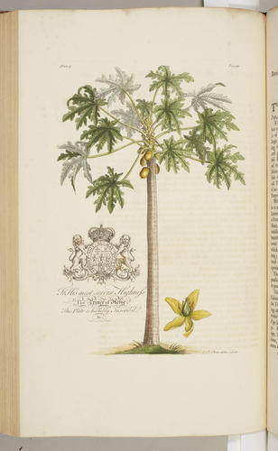 The Natural history of Barbados, in ten books / by Rev. Griffith Hughes The Natural history of Barbados, in ten books / by Rev. Griffith Hughes