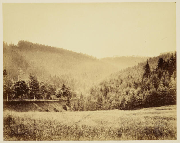 'Oberhof'; Forest around Oberhof