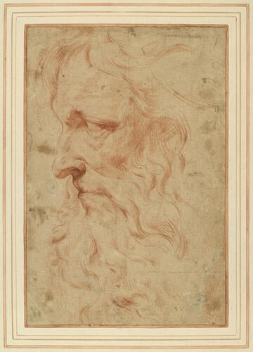 The head of a bearded man The head of a bearded man