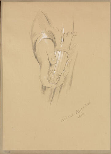 A hand