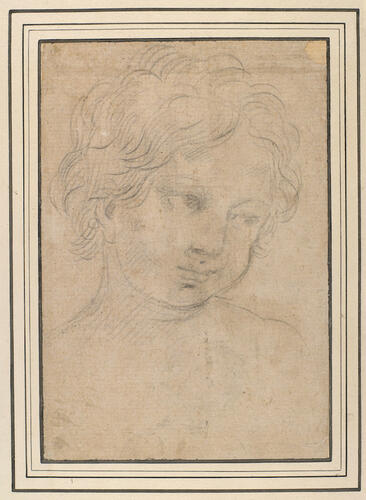 The head of a child
