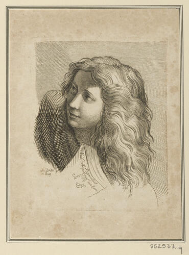 Master: Set of prints reproducing heads from 'The School of Athens'
Item: Head of a long-haired youth [from 'The School of Athens']