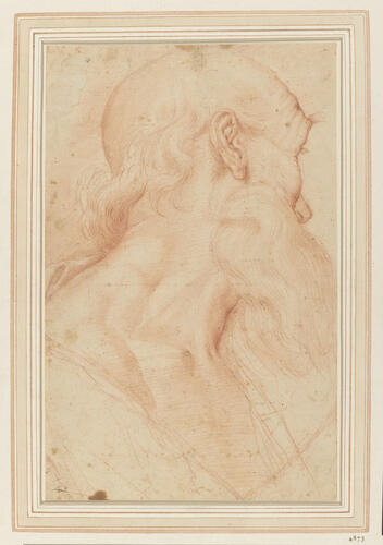 A study for the head of St Jerome A study for the head of St Jerome