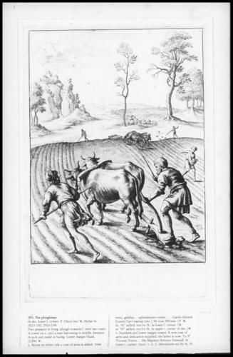The ploughman The ploughman