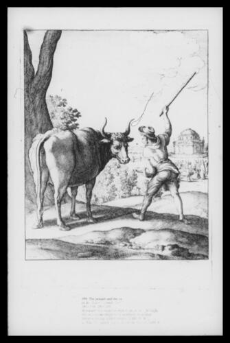 The peasant and the ox The peasant and the ox