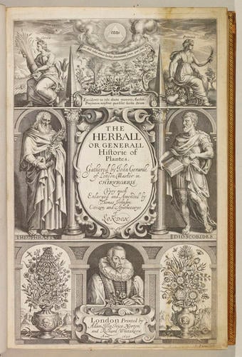 The Herball, or, Generall historie of plantes / by John Gerarde ; edited by Thomas Johnson