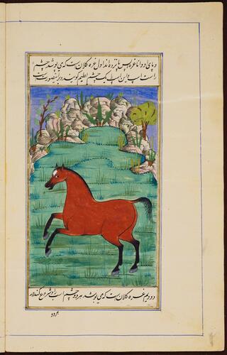 Farasnamah فرسنامه (A Treatise on Horses) and Dawlatnamah دولتنامه (A Treatise on Falcons) Farasnamah فرسنامه (A Treatise on Horses) and Dawlatnamah دولتنامه (A Treatise on Falcons)