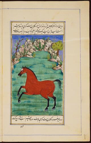 Farasnamah فرسنامه (A Treatise on Horses) and Dawlatnamah دولتنامه (A Treatise on Falcons)