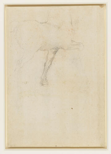 Recto: Horses' legs. Verso: A study of a horse