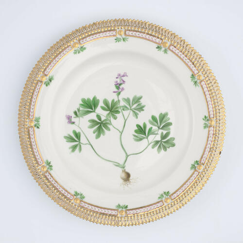 Master: Set of dinner plates
Item: Corydalis fabacea